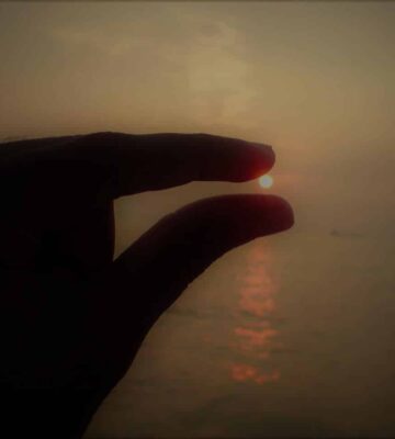 Team Members 3 robin Team Members