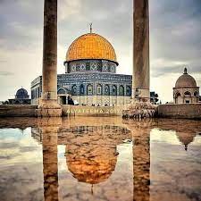 Team Members 6 ammar Team Members