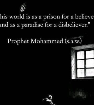 Team Members 10 umme Team Members